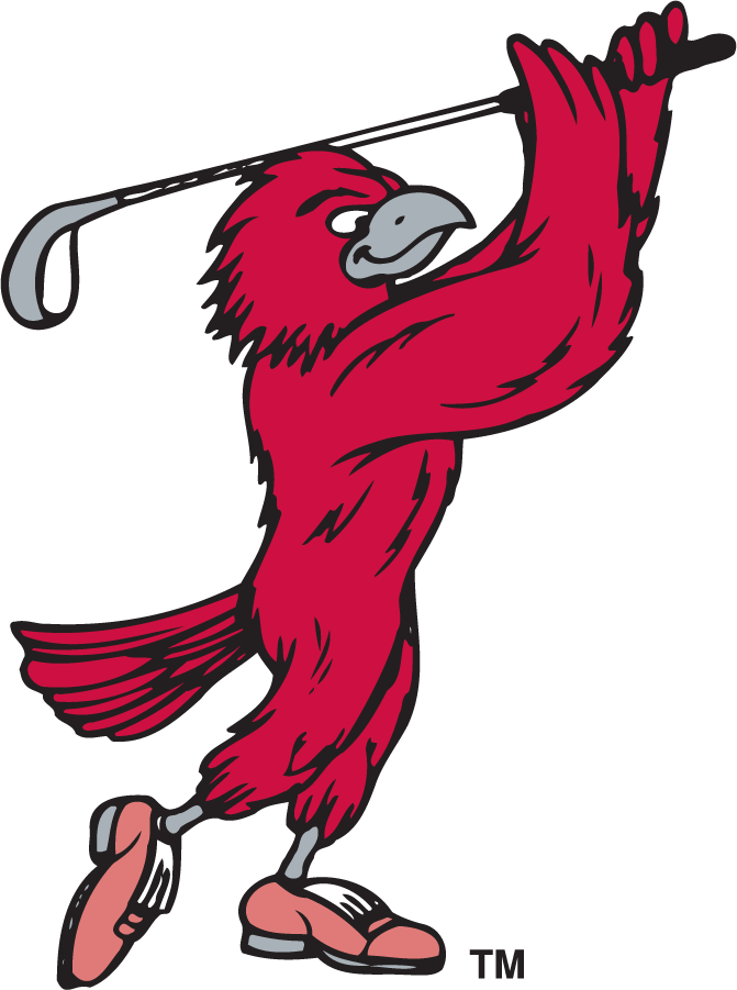 St. Joseph's Hawks 1995-2002 Secondary Logo v3 DIY iron on transfer (heat transfer)